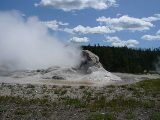 Grotto Geyser, Yellowstone NP

