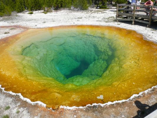 Morning Glory Pool, Yellowstone NP
