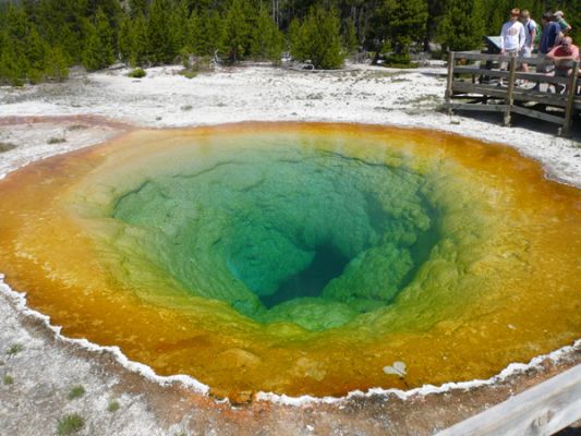 Morning Glory Pool, Yellowstone NP
