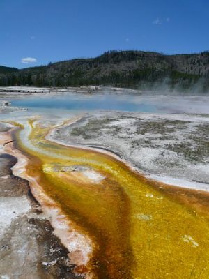 Biscuit Basin, Yellowstone NP
