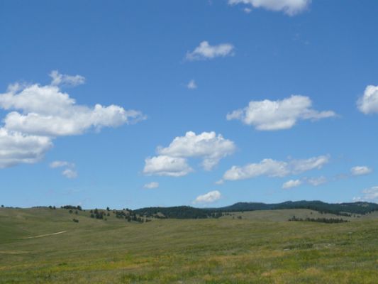 Custer SP
