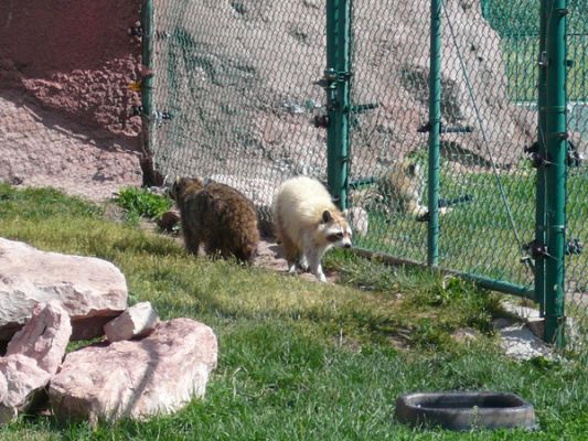 Tierpark Bear Country U.S.A.
