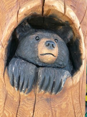 Tierpark Bear Country U.S.A.
