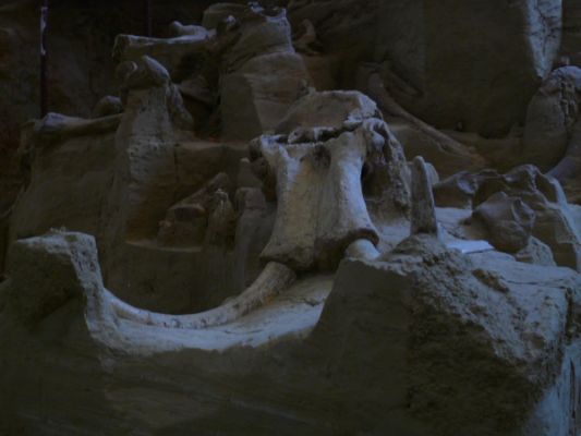 Mammoth Site in Hot Springs, South Dakota
