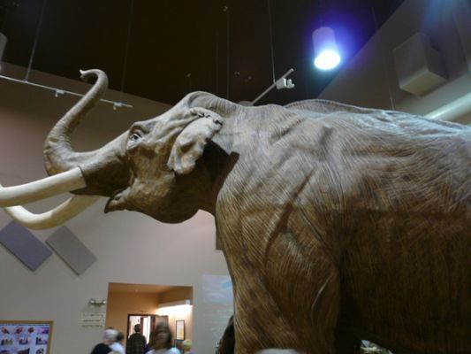 Mammoth Site in Hot Springs, South Dakota
