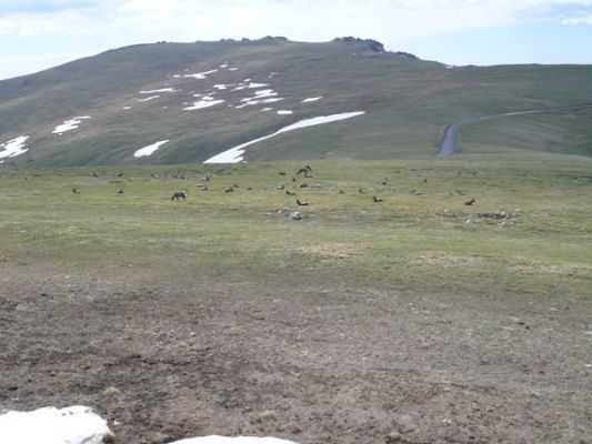 Rocky Mountain NP
