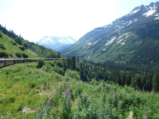 Fahrt mit der White Pass & Yukon Railroad
