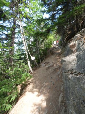Trail in Skagway
