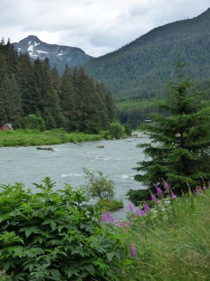 Chilkoot Lake
