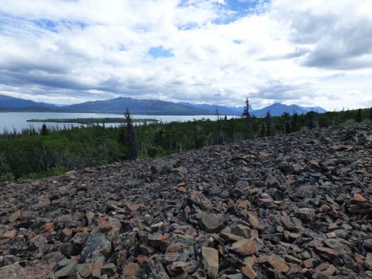 Kluane NP
