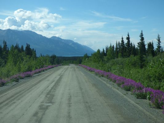 Kluane NP
