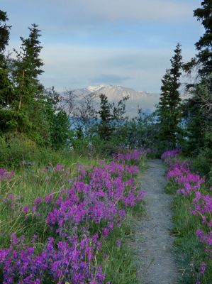Kluane NP
