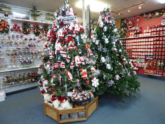 North Pole
