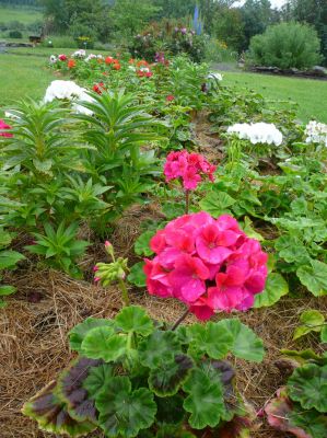 Fairbanks Botanical Garden
