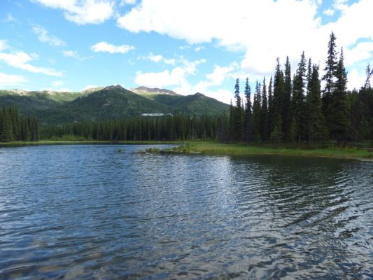 Denali NP
