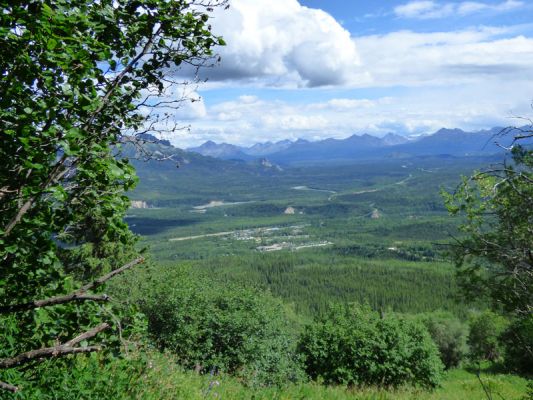 Denali NP
