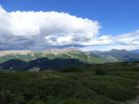 Denali NP
