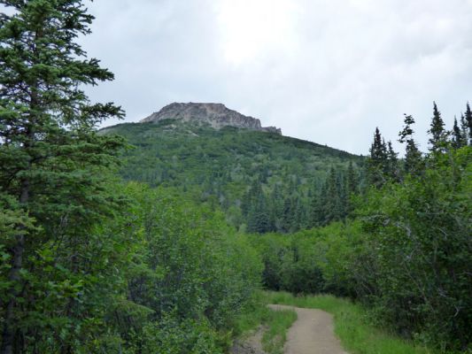 Denali NP
