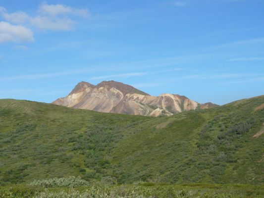 Denali NP
