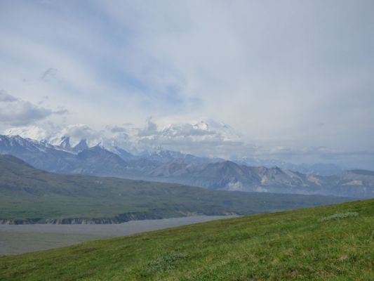 Denali NP
