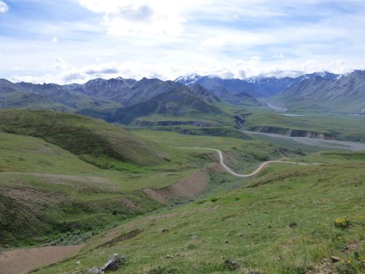 Denali NP
