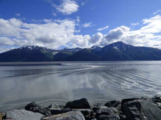 Turnagain Arm
