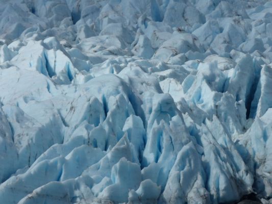 Portage Glacier Cruise
