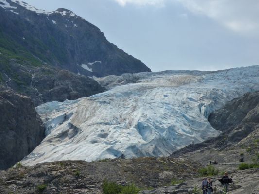 Exit Glacier
