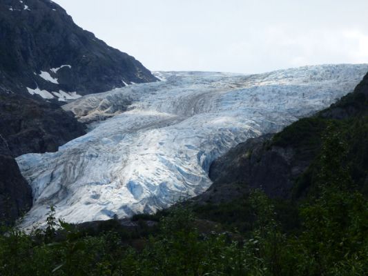 Exit Glacier
