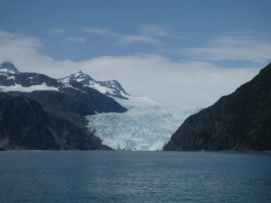 Whale Watching Major Marine Tours
