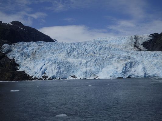 Whale Watching Major Marine Tours
