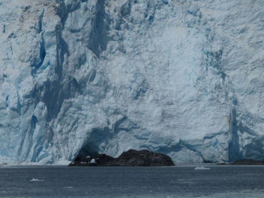 Whale Watching Major Marine Tours
