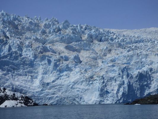 Whale Watching Major Marine Tours
