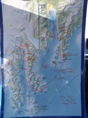 Whale Watching Major Marine Tours
