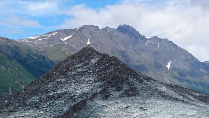 Kayak / Glacier Hiking Anadyr Adventures
