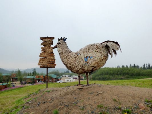 Chicken
