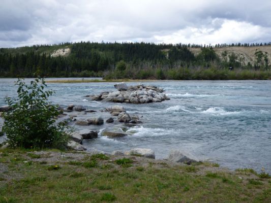 Whitehorse
