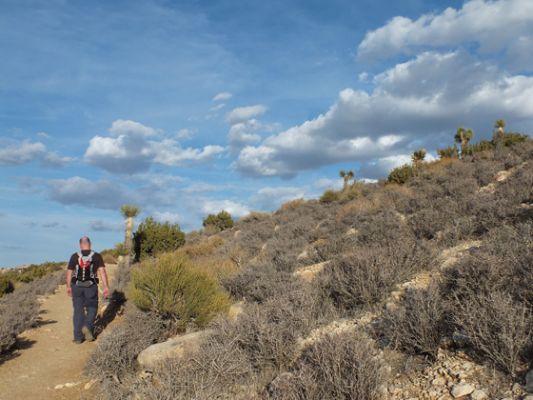 Joshua Tree NP
