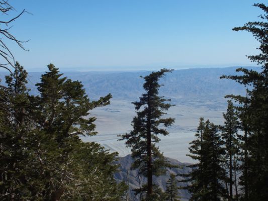 Palm Springs Aerial Tram
