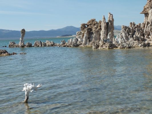 Mono Lake

