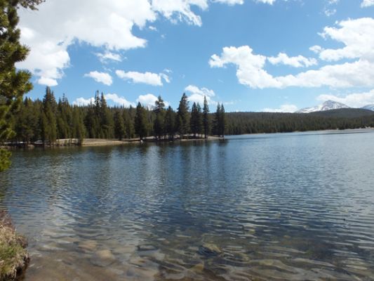 Yosemite

