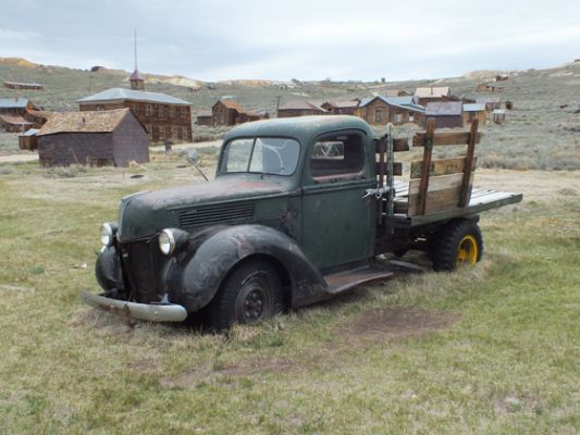 Bodie
