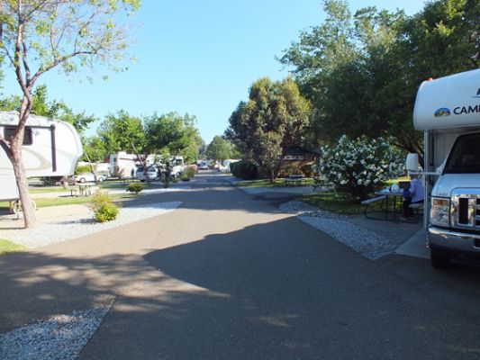 Campground Redding
