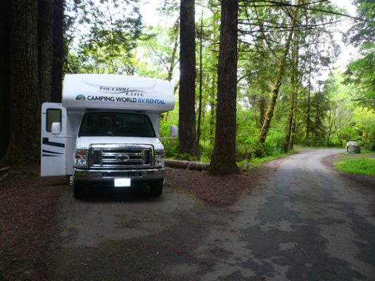 Redwood NP
