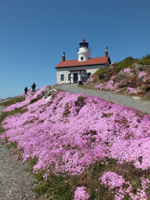 Amerika_2013_128.JPG