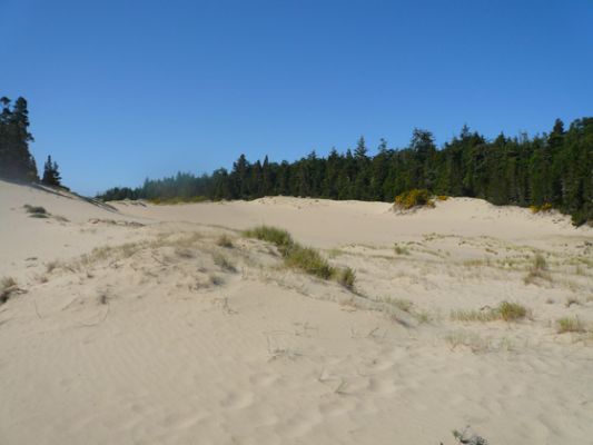 Oregon Dunes

