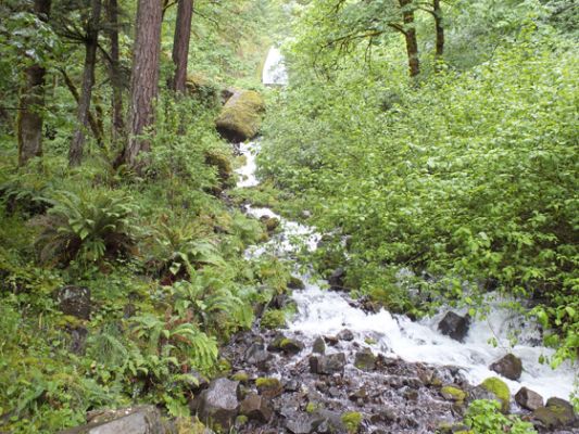 Multnomah Falls
