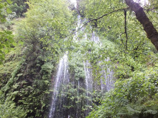 Multnomah Falls
