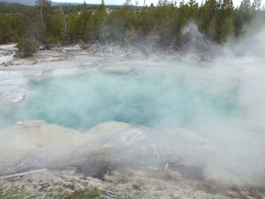 Yellowstone
