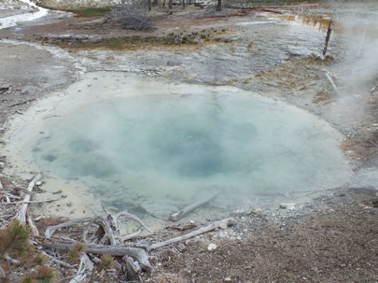 Yellowstone
